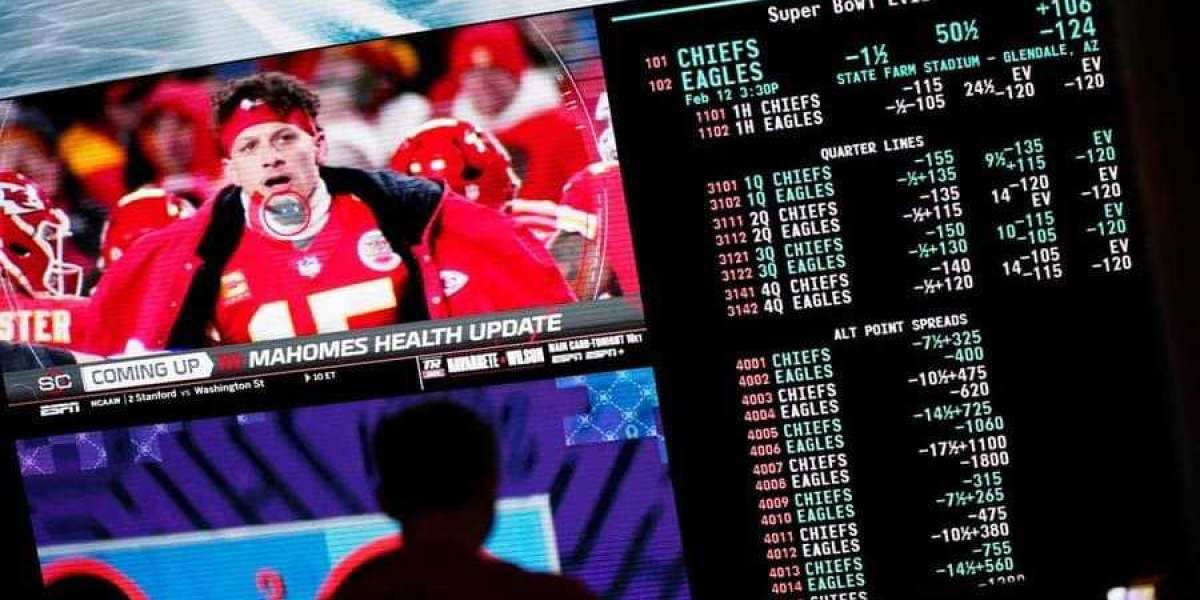 Ultimate Guide to Sports Betting Site