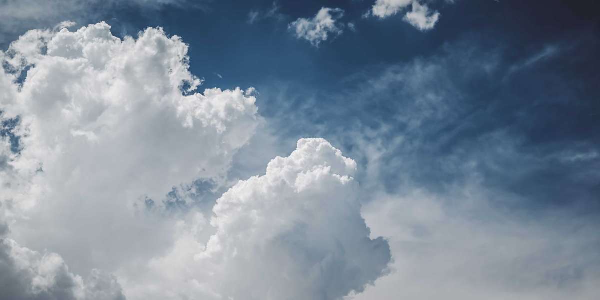 Top Tips for Maintaining and Styling Your Glueless Wig in Industry None