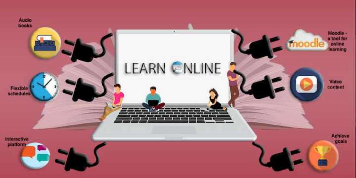 Why Professional Help in Online Biology Classes is Key to Academic Success.