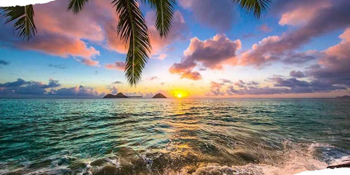 Stress-Free Shipping of Household Items to Hawaii with JNR Global Logistics
