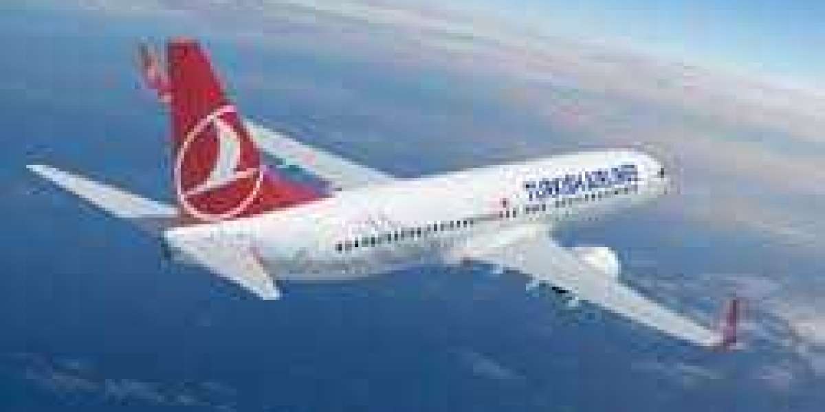 Understanding Turkish Airline Baggage Policy for Travelers