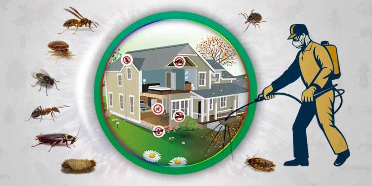 Defend Your Space: The Art of Lasting Pest Prevention