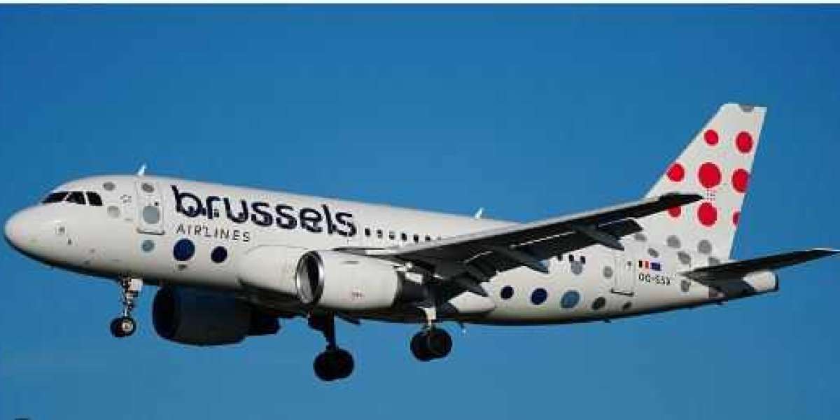 A Guide to Planning Group Trips on Brussels Airlines